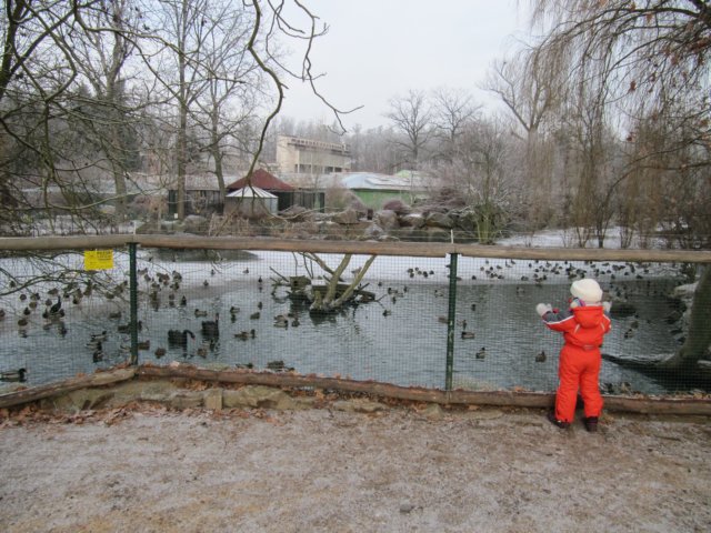 svtenplzeskzoo.jpg