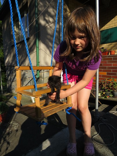 Ono se to koťátko snad nechce houpat? 