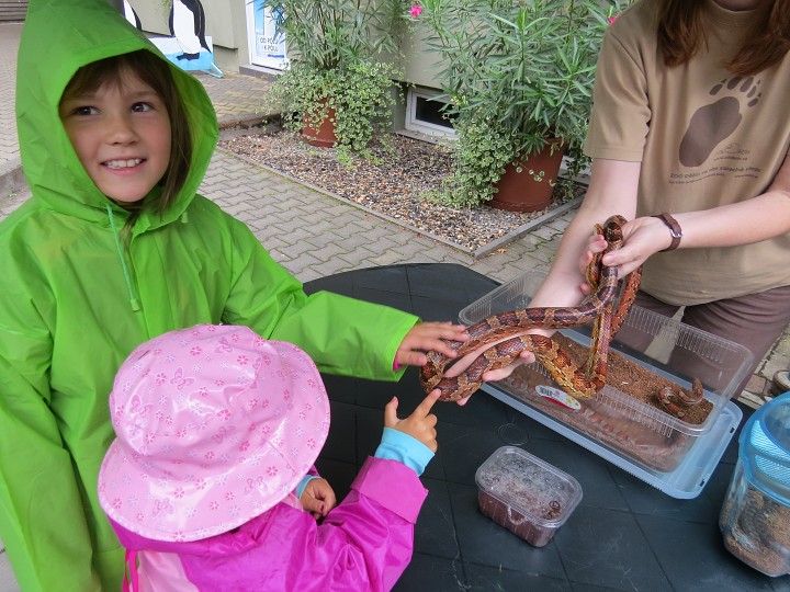 Zkouška odvahy v ZOO Děčín 