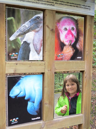 Jsem jednoznačně nejkrásnější! 